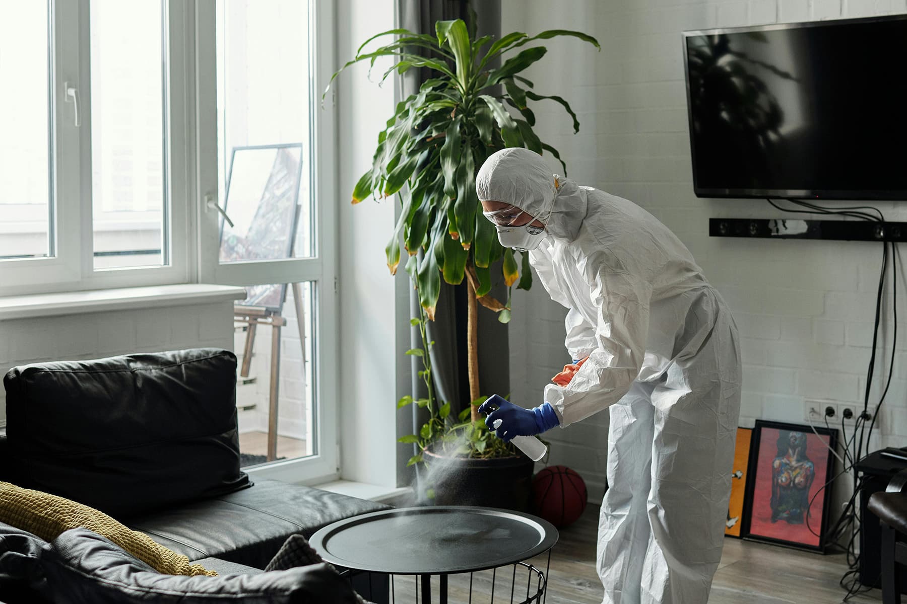 IICRC S520 mold remediation containment setup in Coquitlam home